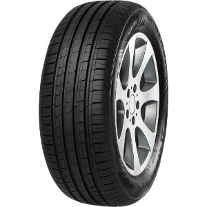 205/60R16 92H MINERVA F209